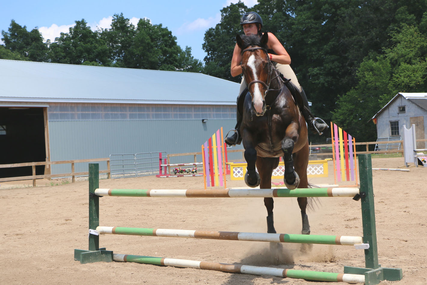 Lessons & Clinics - The Stables at Westfield